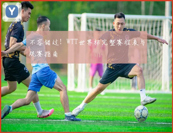 不容错过！WTT世界杯完整赛程表与观赛指南
