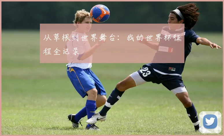 从草根到世界舞台：我的世界杯征程全记录